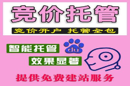 某某SEM公司：一则关于搜索引擎营销的经典成功案例
